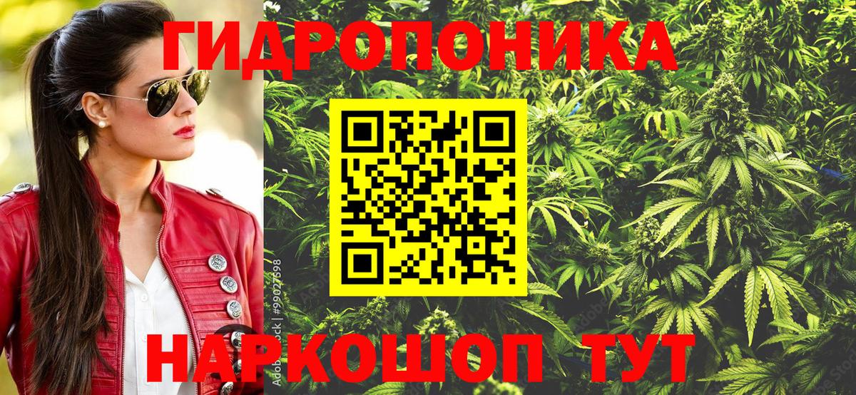 Канабис ГИДРОПОН  Марихуана марихуана  Сергиев Посад  Канабис SATIVA & INDICA  Вход с VPN 